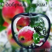 IMG-20211226-WA0001.webp