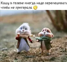 Screenshot_20211223_190830.webp