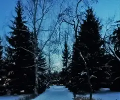 00001112.webp