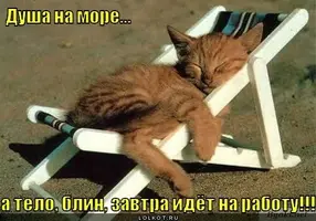 a-telo-na-rabotu_1342325141.webp