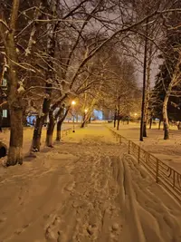 IMG-e91e8f3837a0a290f187aa66a4bc832a-V.webp