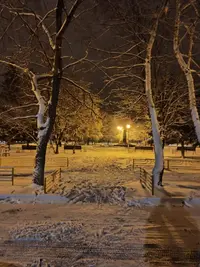 IMG-5b5c6f17c911a7098721c21a18f27261-V.webp