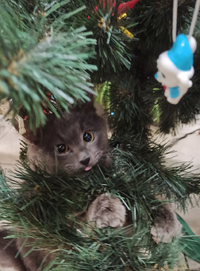 IMG_20211227_103606.webp
