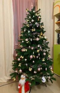 CA6D8207-19E5-494F-9FE1-F157B8A8BC92.webp