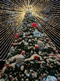 0CB06C50-3348-4DE7-B8D8-CA6BA88272D2.webp