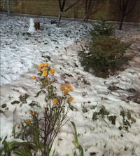 IMG_20211227_214359.webp