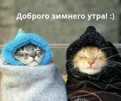 Screenshot_20211227_201247.webp