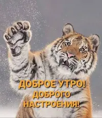 IMG-20211228-WA0004.webp