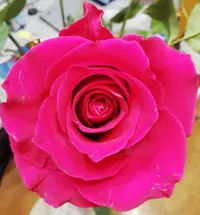 IMG_20211228_214919.webp