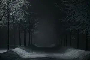 D72C797B-47D3-40E1-BF2A-49D5FF7FA689.webp