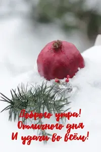 8858F2D3-52E0-4109-919F-960EC0FFC2BB.webp
