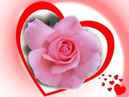 EeEZQMqX0AAAq77.webp