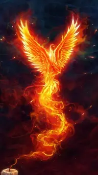2021-12-30-20-50-05.webp