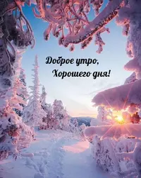 IMG-20211229-WA0001.webp
