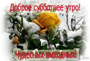 IMG-20220101-WA0020.webp