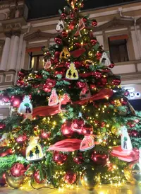 Screenshot_20220104_211755.webp