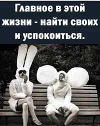 b9010f9__01.webp