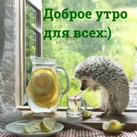 IMG-20220106-WA0002.webp