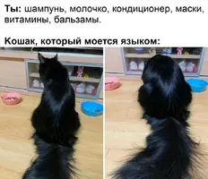 Screenshot_2022-01-06-18-52-41-22_1c337646f29875672b5a61192b9010f9__01.webp