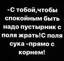 image-5.webp