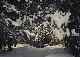 69532B1B-0613-4E40-95C3-E5A7197AF7AD.webp