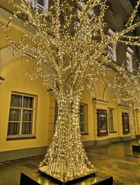 Screenshot_20220109_001620.webp