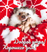 PgjtmENoeu4.webp