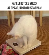 Screenshot_20220109-201054_Gallery.webp