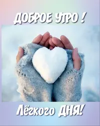a13b256076ab6cb666a97c2d387c5735.webp