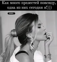 13213.webp