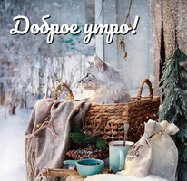 IMG_20220110_062108.webp