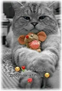 88745e1ed16e0c56083575bb3852951f.webp