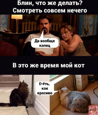 IMG_20211010_130133.webp