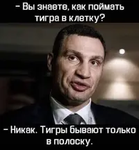 IMG-8be93339e1268bd23e6bf38203c5fc9d-V.webp