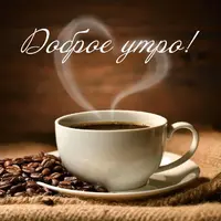 b5789a041943a8359f101a968fbd2af6.webp