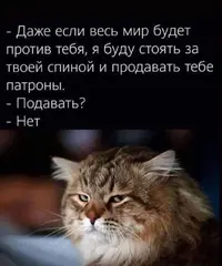 FB_IMG_1641885016027.webp