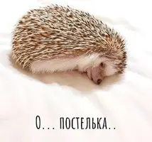 90a5338d8bf2b1c26170465780db8e2e.webp