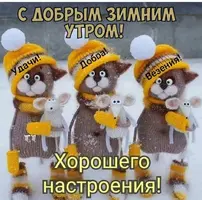 66.webp