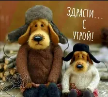 IMG-20220110-WA0000.webp