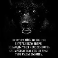 532.webp