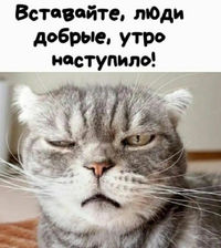 IMG_20220113_050353.webp