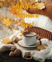 7C948425-C217-4DED-A6A3-A6CB662A9361.webp