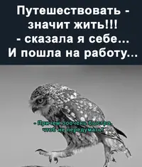 14.webp