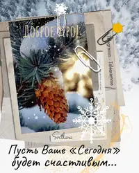 d6b96a558b7d47da75c74c03d97cd646.webp