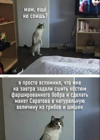 IMG_20220113_073354.webp