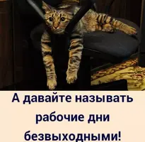 15.webp