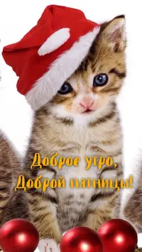 4A79DC0E-12E3-4A88-97C7-D1DCE3467E18.webp