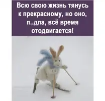 438.webp