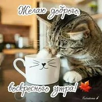 26210395f51b05dd6e93d6cac2650c1c.webp