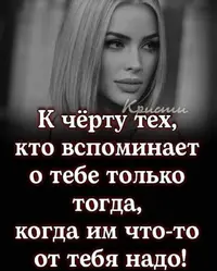 33433.webp
